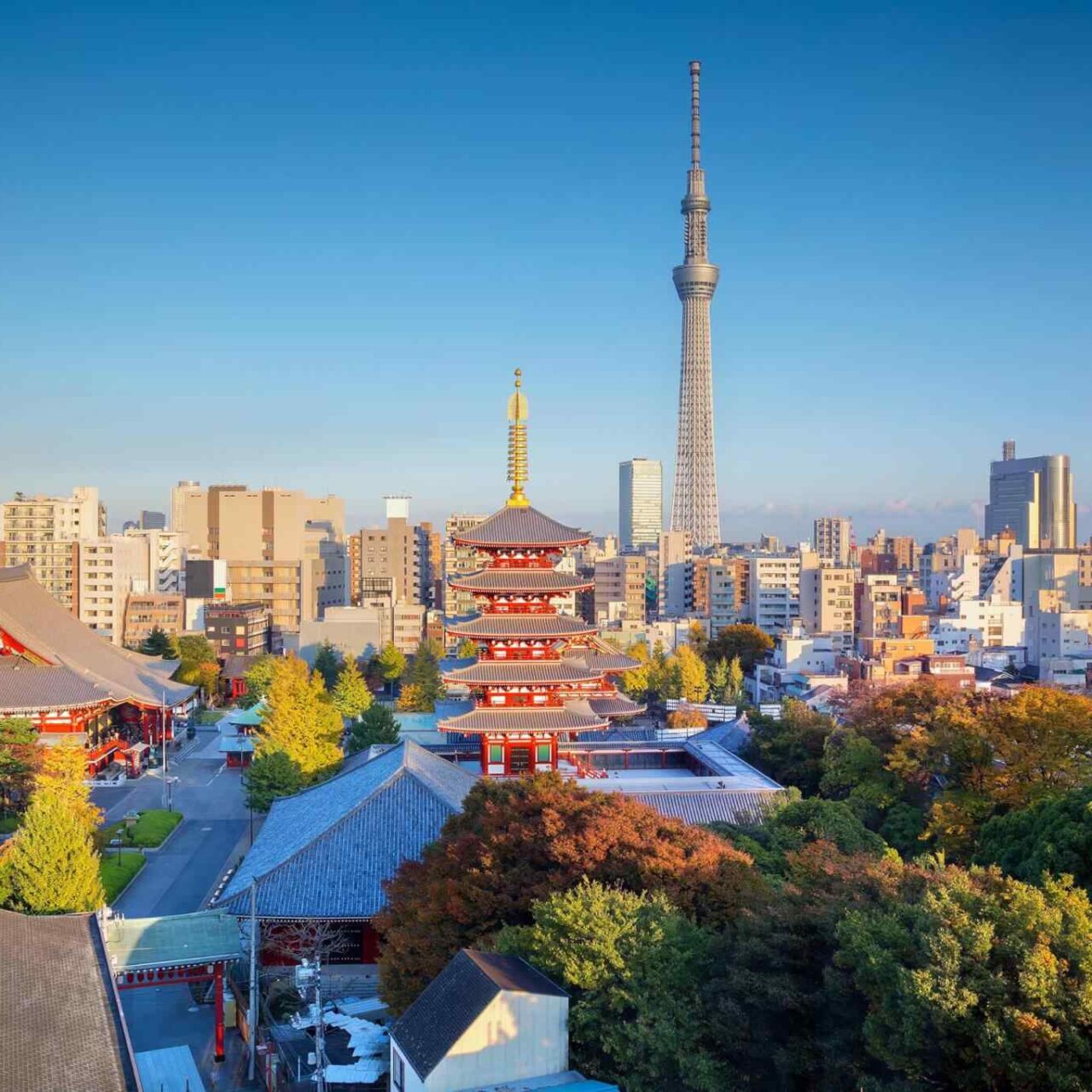 https://fr.usb-travel.com/wp-content/uploads/sites/7/2018/09/destination-tokyo-04-1280x1280.jpg