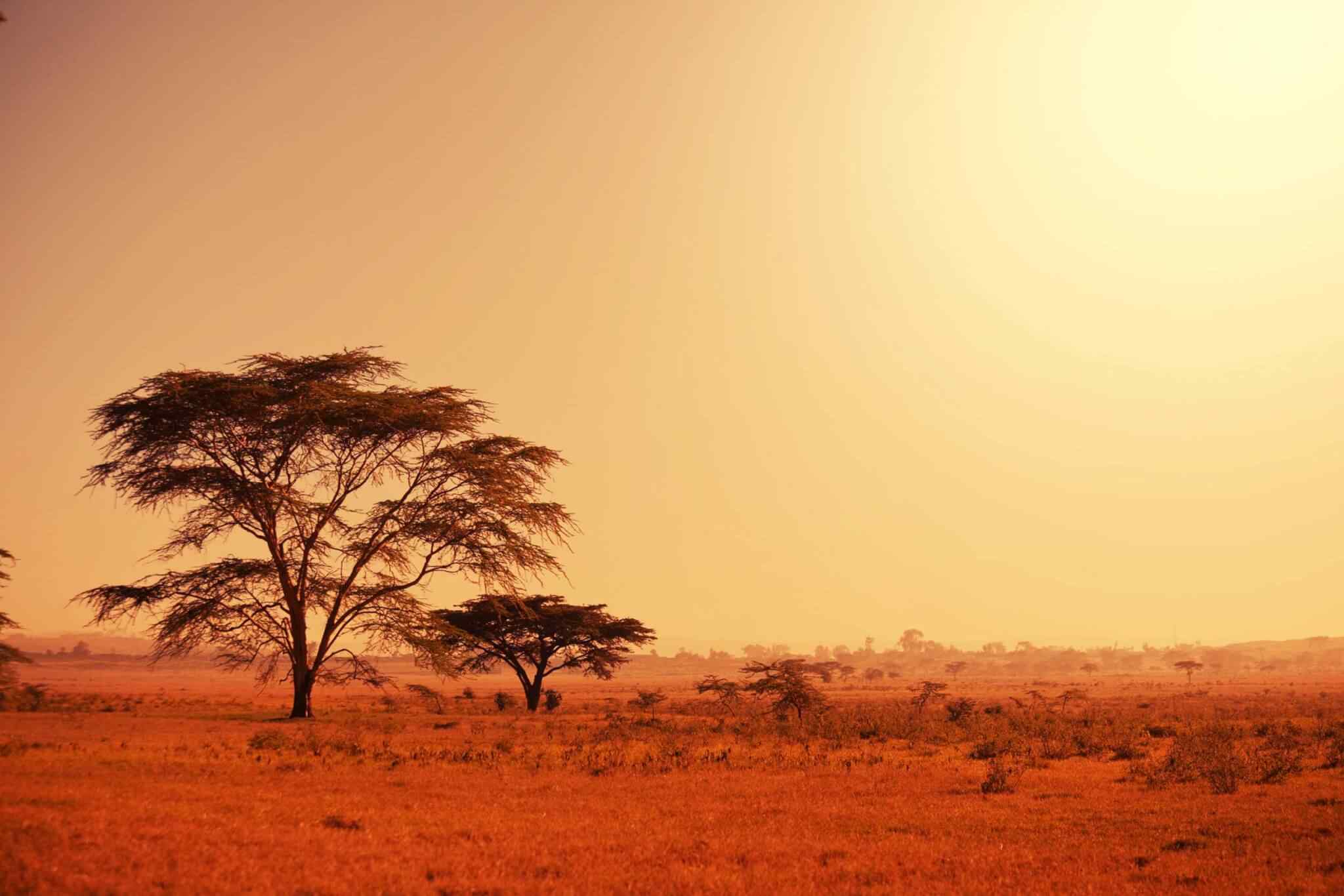 https://fr.usb-travel.com/wp-content/uploads/sites/7/2018/09/tour-africa-02.jpg