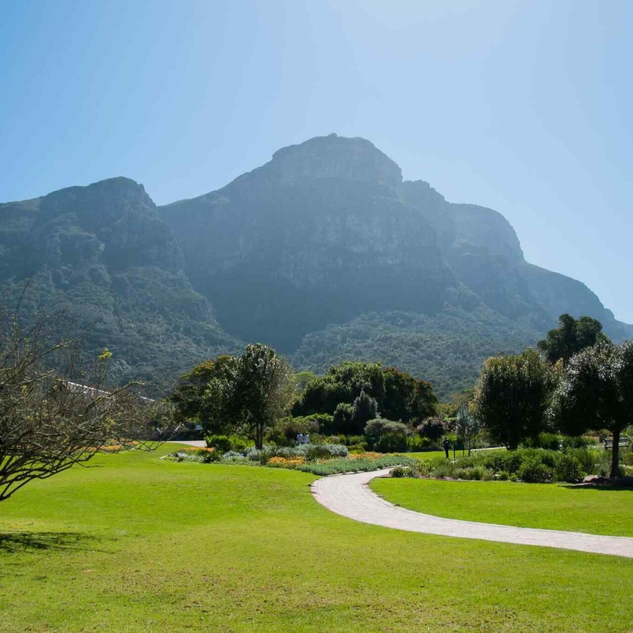 https://fr.usb-travel.com/wp-content/uploads/sites/7/2018/09/tour-capetown-03-1280x1280.jpg